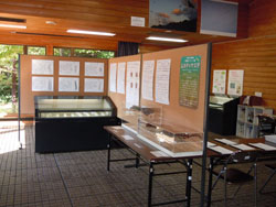 展示室のようす１
