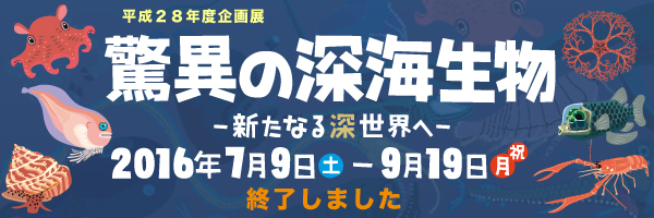 平成28年度企画展　驚異の深海生物