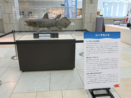 いらっしゃいませ