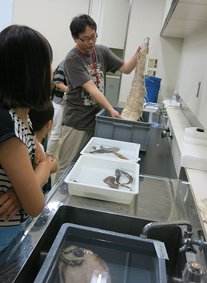 竜宮城からの使者