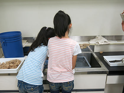 かまれないかな…