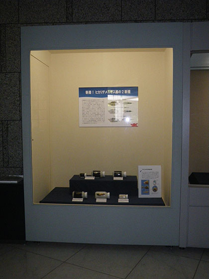 展示ケース外観