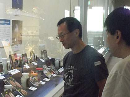 棘皮動物コーナーで