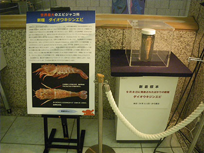 展示コーナー外観