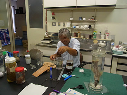 さわり心地はどうですか？