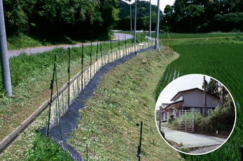 電気柵