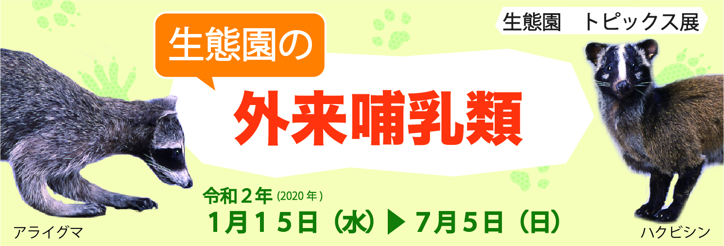 生態園の外来哺乳類