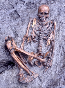 下太田貝塚出土人骨