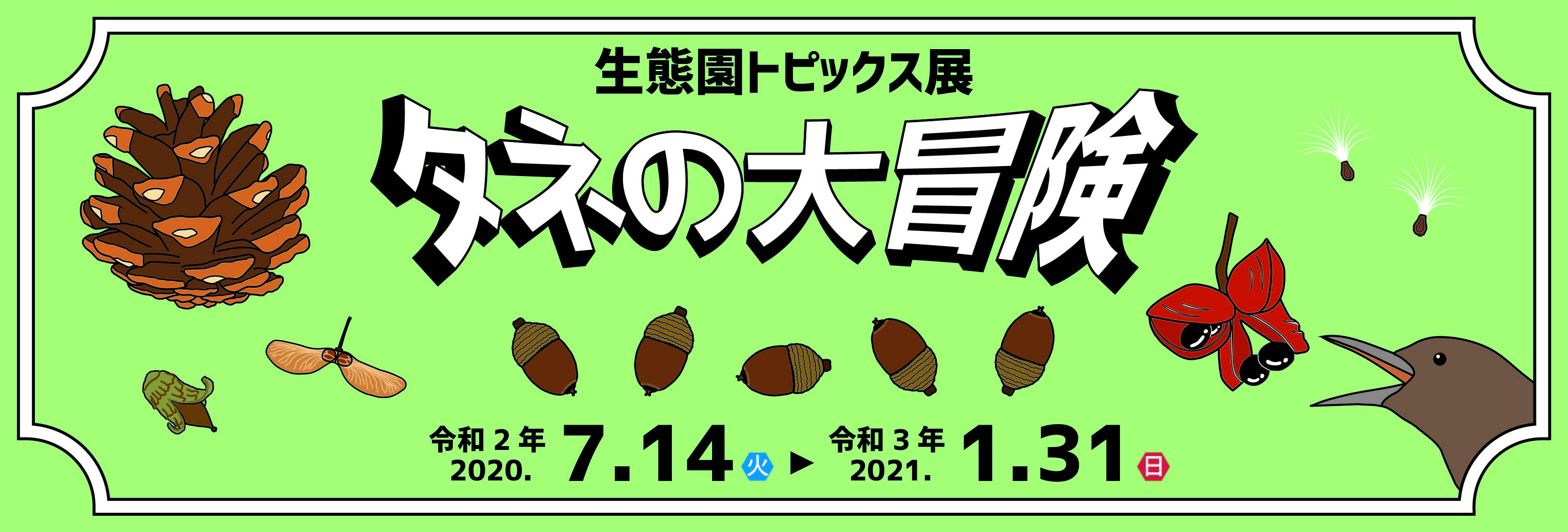 生態園トピックス展「タネの大冒険」バナー会期延長